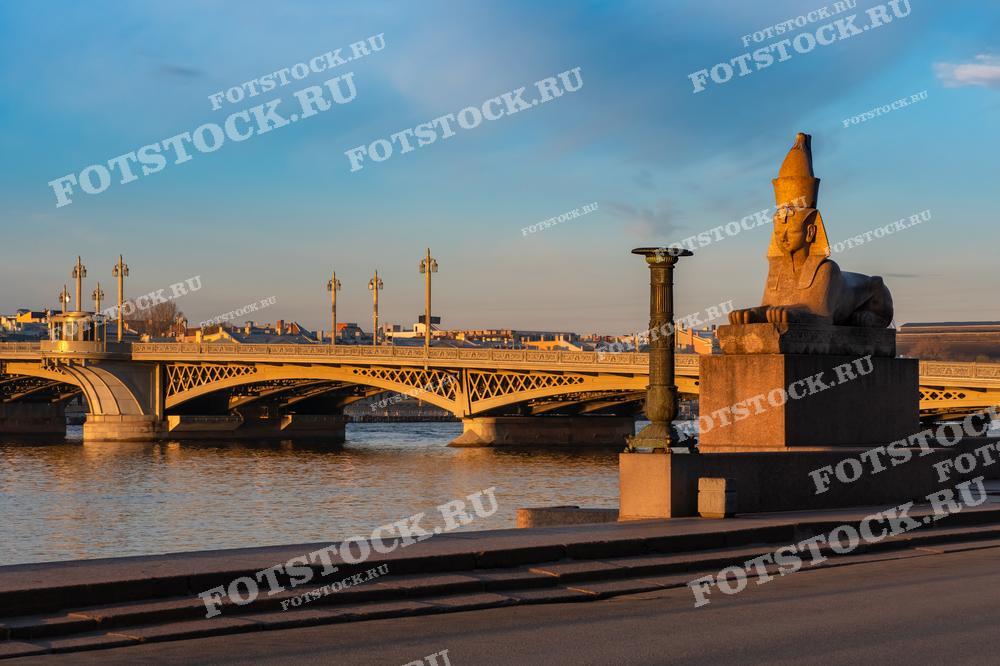 На фотографии изображены Сфинксы на набережной и мост через Неву в Санкт-Петербурге. Вечернее солнце освещает мост и отражается в водах Невы. Сфинксы, привезенные из Египта, являются одной из известных достопримечательностей города.
